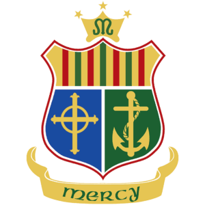 St. Mary's Secondary School (New Ross) logo